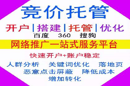 SEM托管公司成功案例：助力企业快速成长